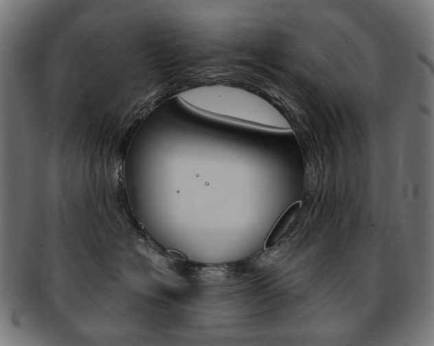 X0000092020574200709061332
