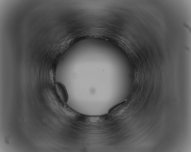 X0000092020575200709061332