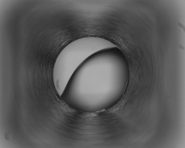 X0000092020576200709061332