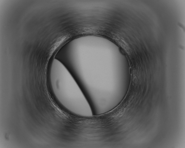 X0000092020578200709061331