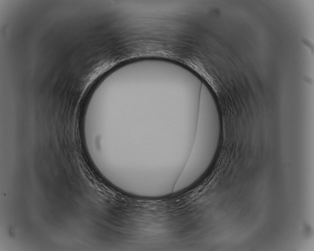 X0000092020579200709061331