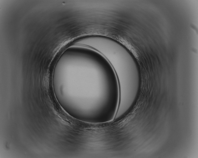 X0000092020580200709061331