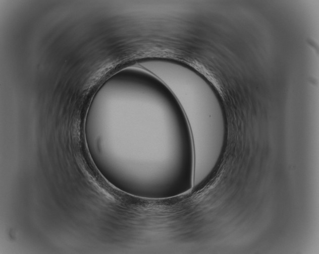 X0000092020581200709061331