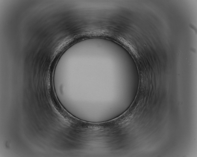 X0000092020582200709061331
