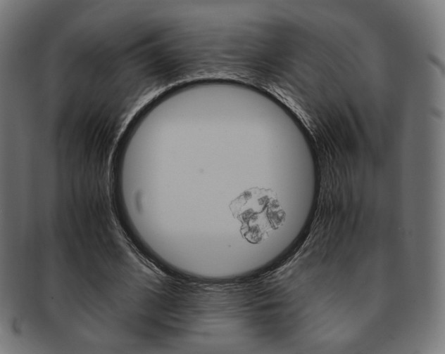 X0000092020584200709061331