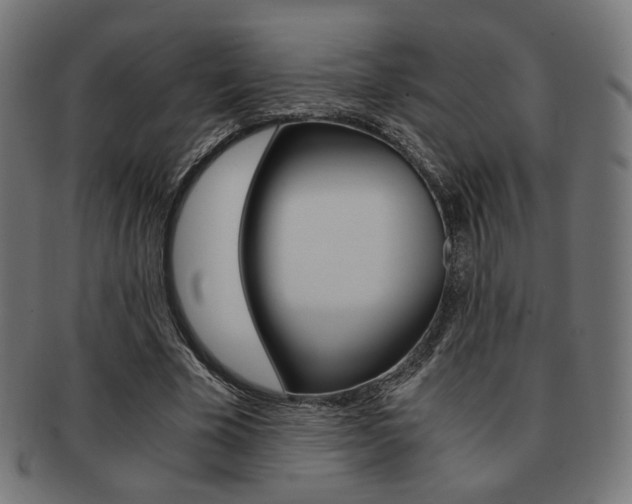 X0000092020585200709061331