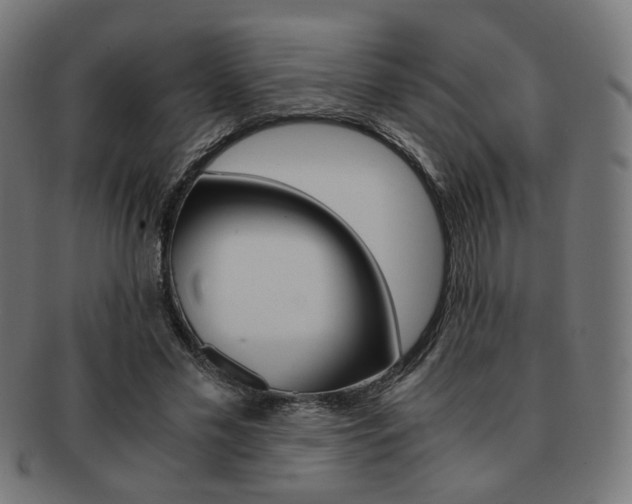 X0000092020589200709061331
