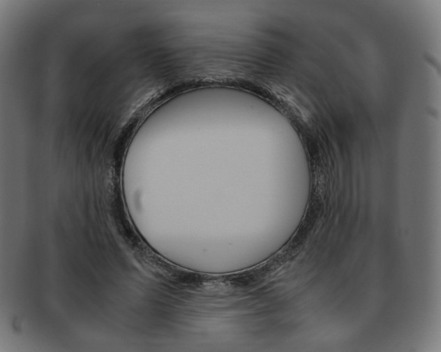 X0000092020591200709061331