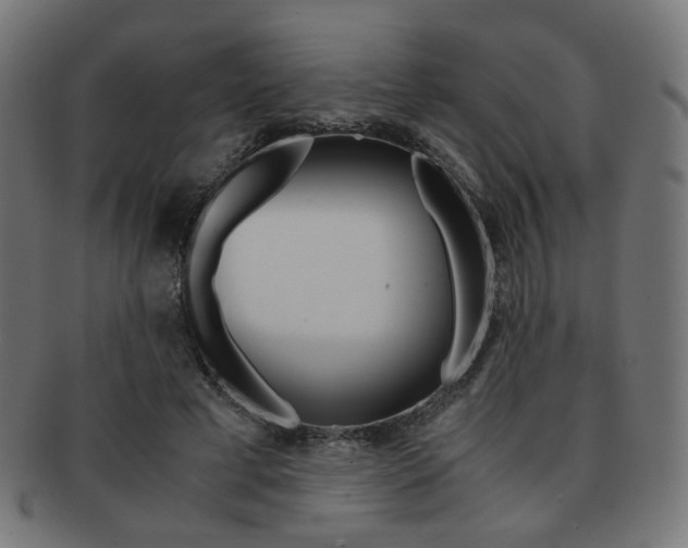 X0000092020593200709061331