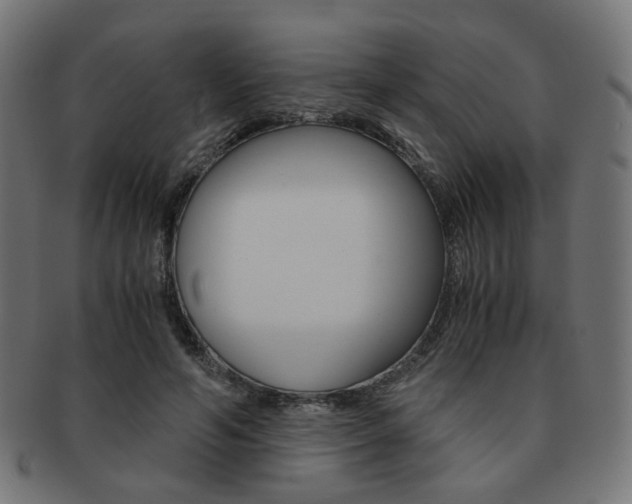X0000092020594200709061331