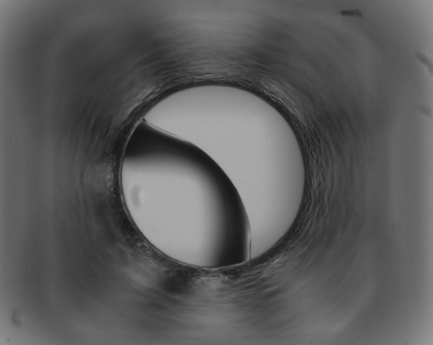 X0000092020595200709061331