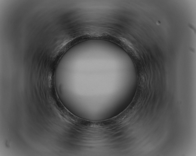 X0000092020596200709061331