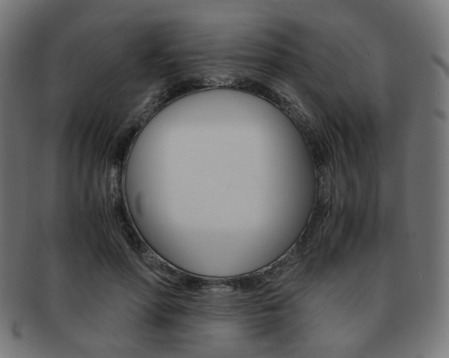 X0000092020598200709061331