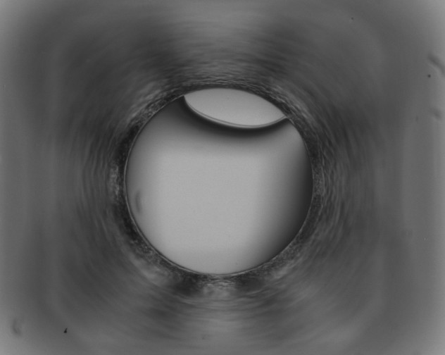 X0000092020599200709061331