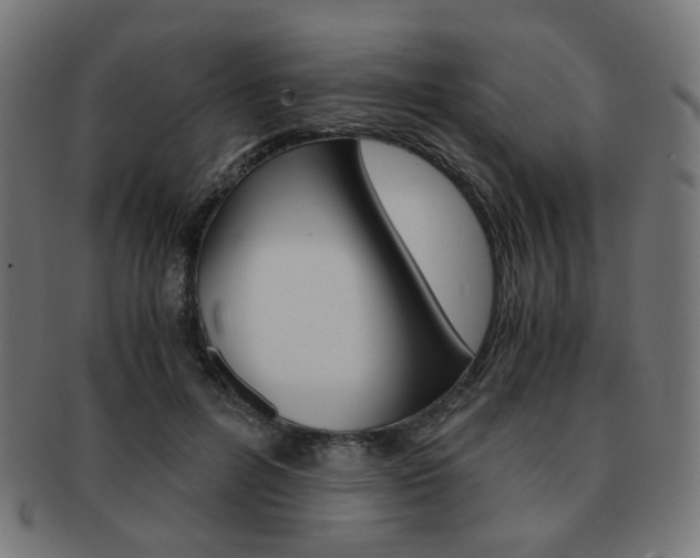 X0000092020600200709061331