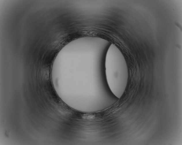 X0000092020602200709061331