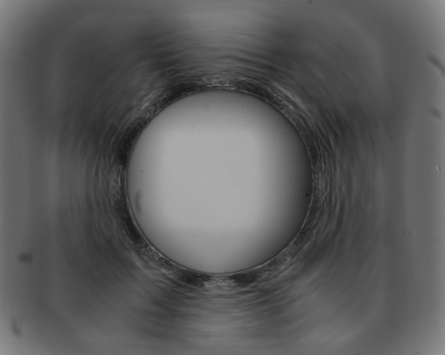 X0000092020603200709061331