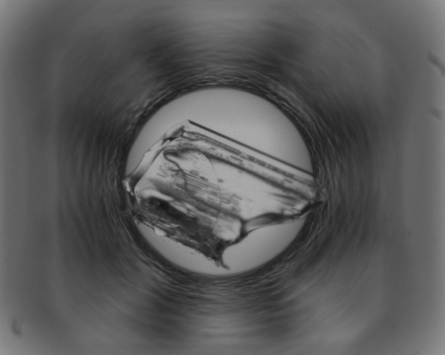X0000092020604200709061331