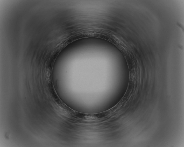 X0000092020605200709061331