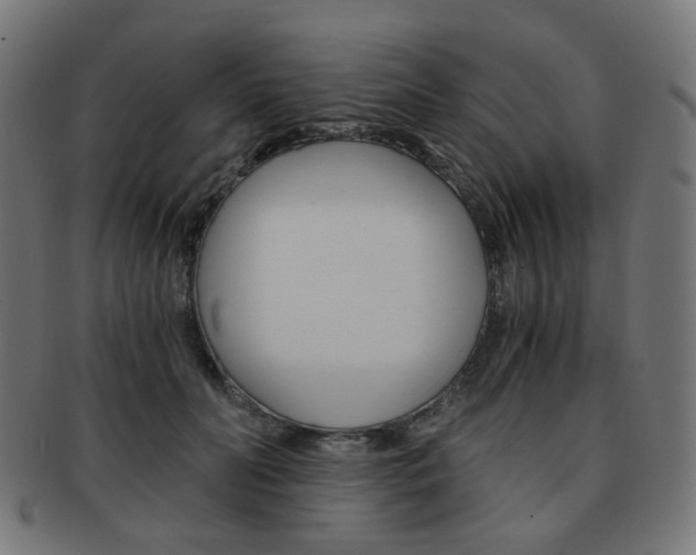 X0000092020606200709061331