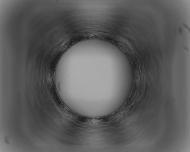 X0000092020607200709061331