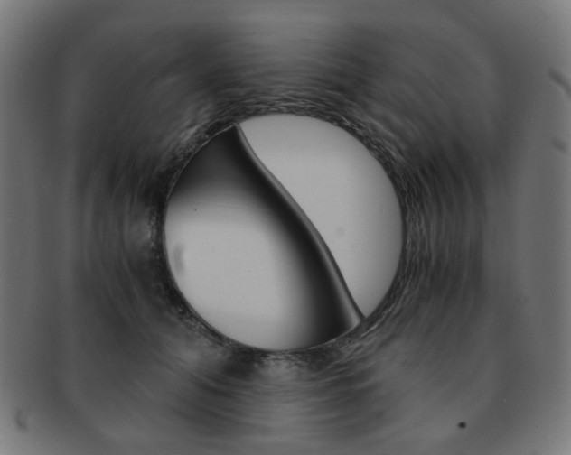 X0000092020608200709061331