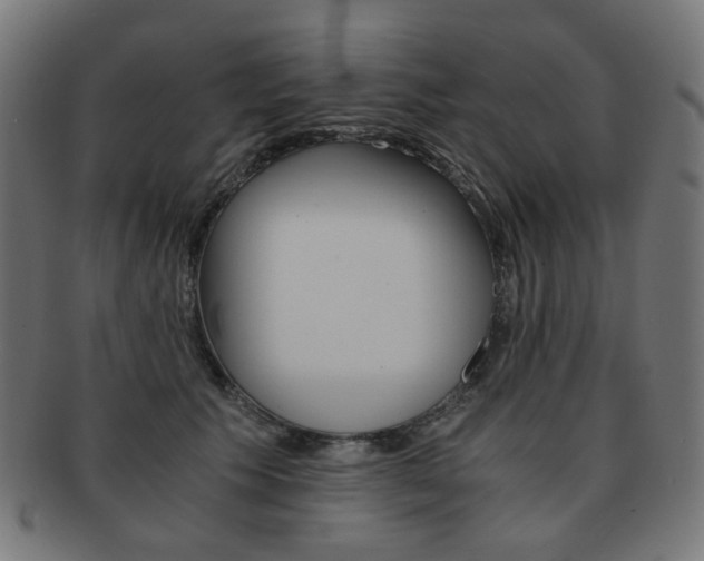 X0000092020609200709061331