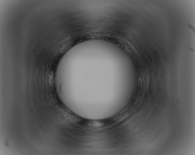 X0000092020610200709061331