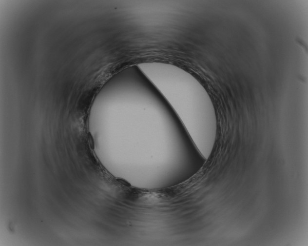 X0000092020611200709061331