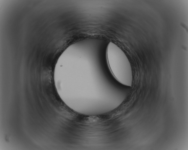X0000092020612200709061331