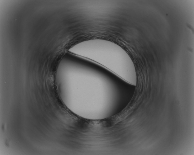 X0000092020613200709061331