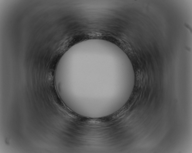 X0000092020614200709061331