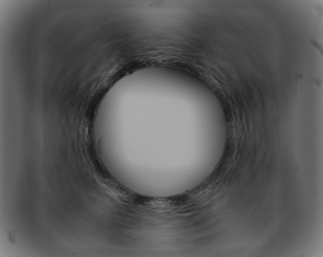 X0000092020615200709061331