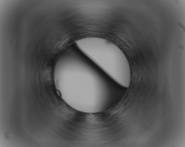 X0000092020616200709061331