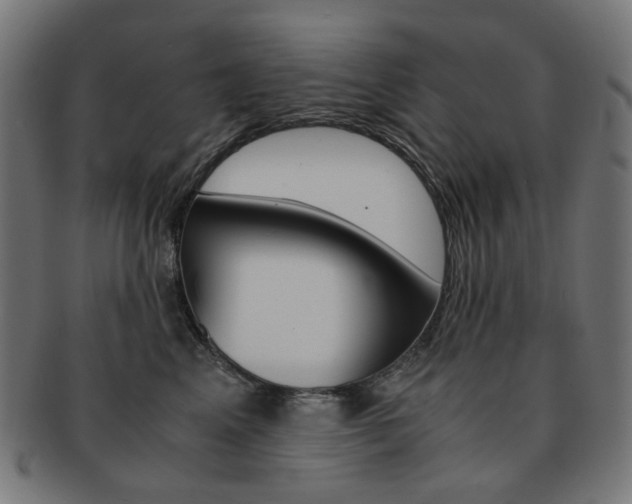 X0000092020617200709061331