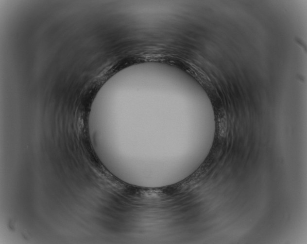 X0000092020618200709061331