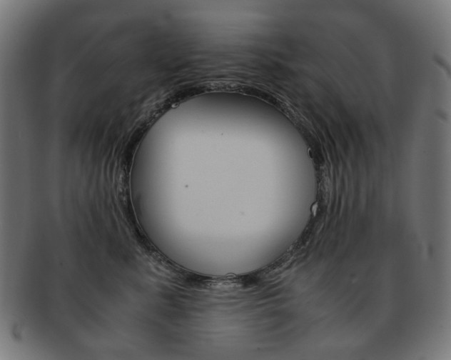 X0000092020619200709061331