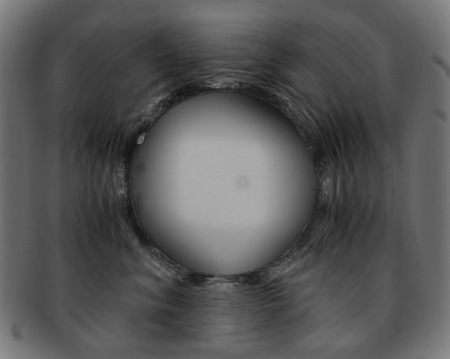 X0000092020620200709061331