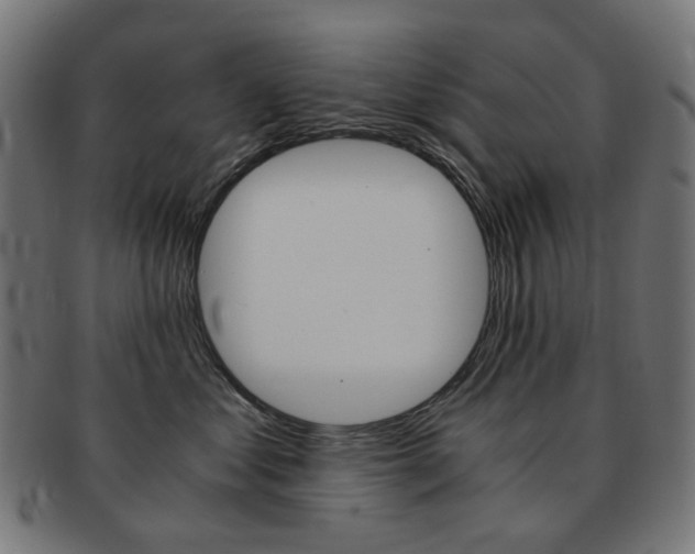 X0000092020621200709061331