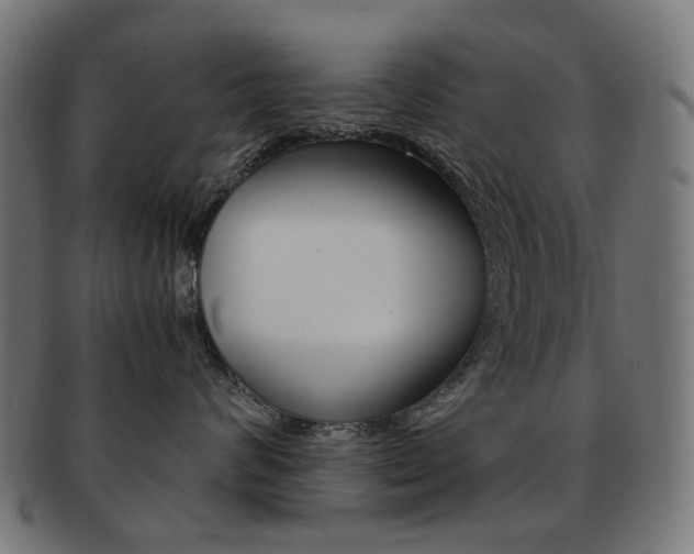 X0000092020624200709061331