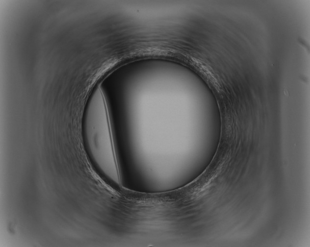 X0000092020625200709061330