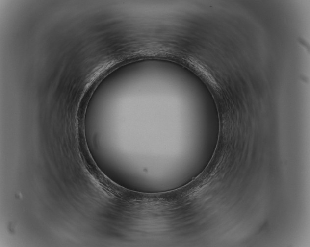 X0000092020626200709061330