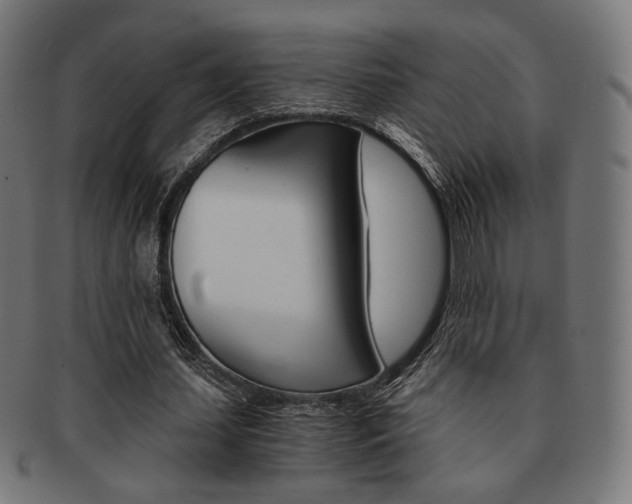 X0000092020627200709061330
