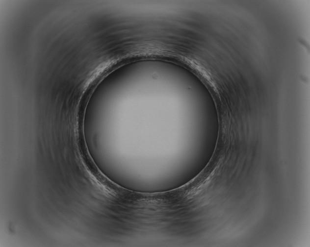 X0000092020629200709061330