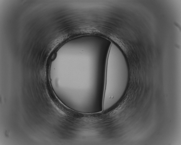 X0000092020630200709061330