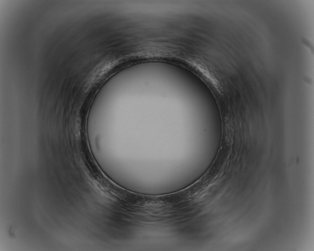 X0000092020631200709061330