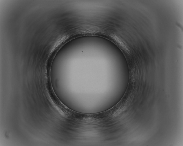 X0000092020634200709061330