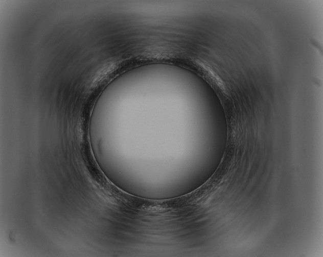 X0000092020635200709061330