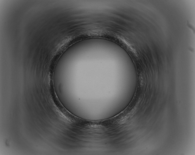 X0000092020637200709061330