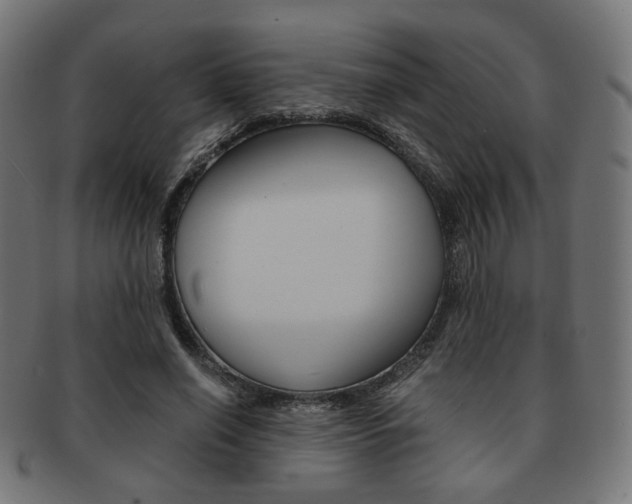 X0000092020638200709061330
